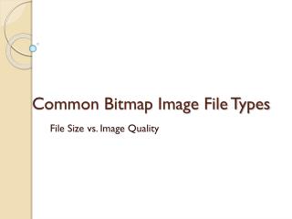 Common Bitmap Image File Types
