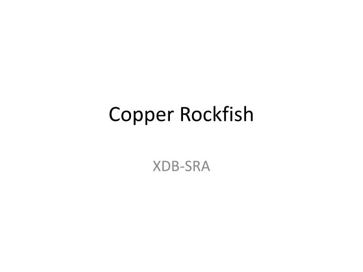 copper rockfish