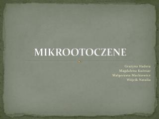 mikrootoczene