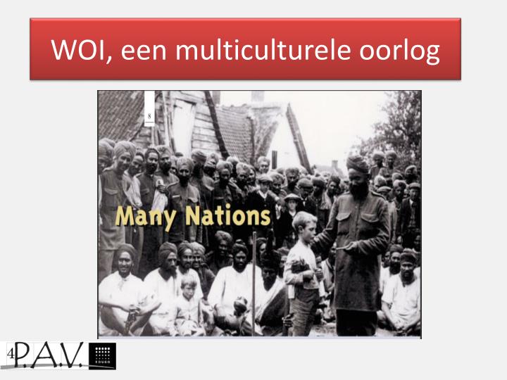 woi een multiculturele oorlog