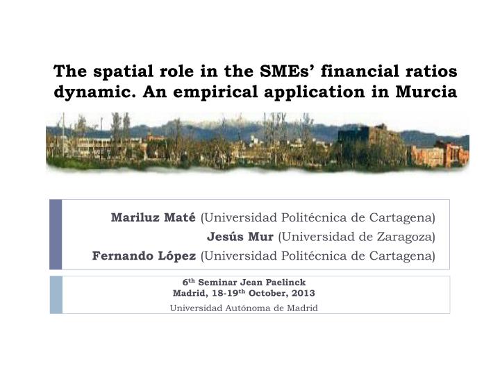 the spatial role in the smes financial ratios dynamic an empirical application in murcia