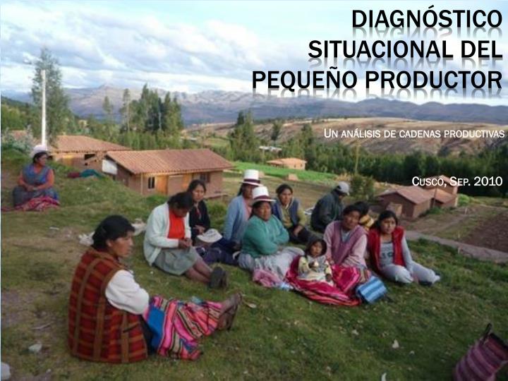 diagn stico situacional del peque o productor