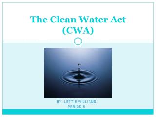 the clean water act cwa
