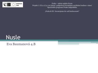 nusle