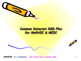 Common Detector R&amp;D Plan for MeRHIC &amp; MEIC