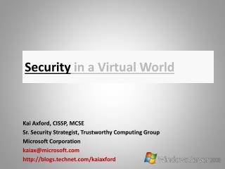 Security in a Virtual World