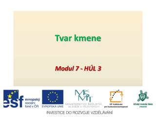 tvar kmene