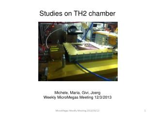 Studies on TH2 chamber