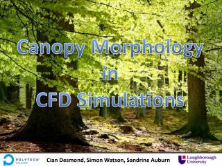 Canopy Morphology in CFD Simulations