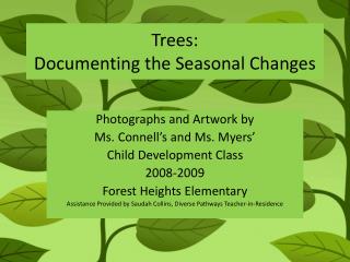 Trees: Documenting the Seasonal Changes