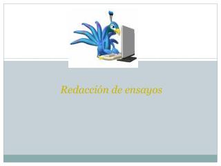 redacci n de ensayos