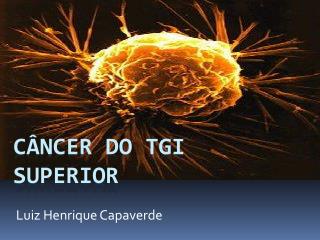 luiz henrique capaverde