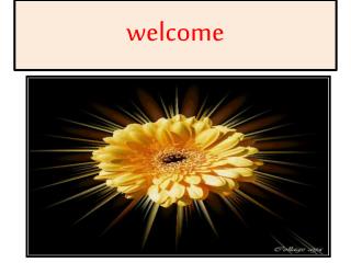 welcome