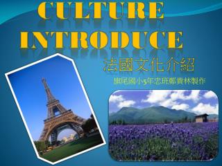 culture introduce