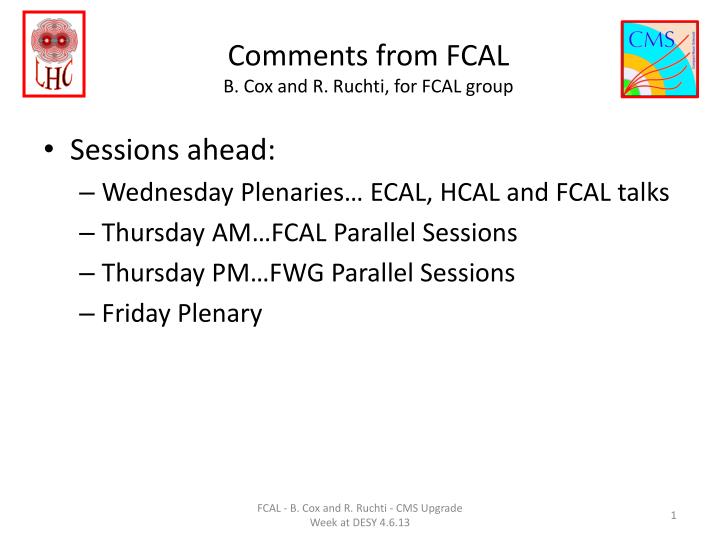 comments from fcal b cox and r ruchti for fcal group