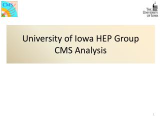 University of Iowa HEP Group CMS Analysis