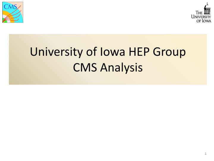 university of iowa hep group cms analysis