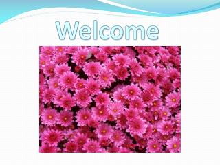 welcome