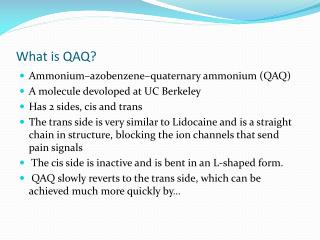 What is QAQ?