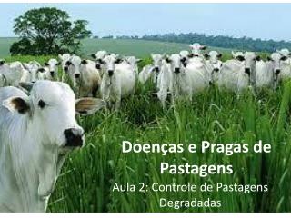 doen as e pragas de pastagens
