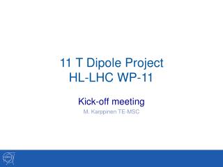 11 T Dipole Project HL-LHC WP-11