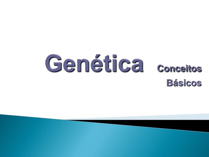 PPT - Genética Conceitos Básicos PowerPoint Presentation, Free Download ...