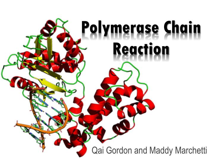 polymerase chain reaction