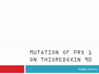 Mutation of Prx 1 on Thioredoxin 90