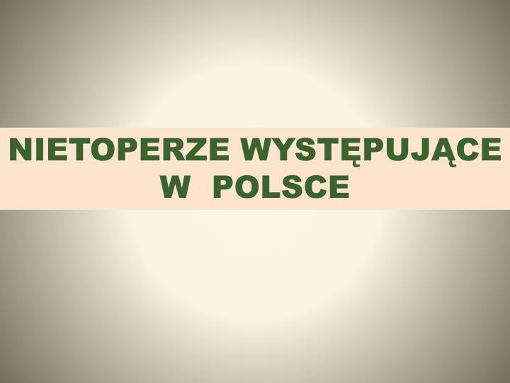 nietoperze wyst puj ce w polsce