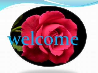 welcome