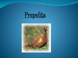 prepeli a
