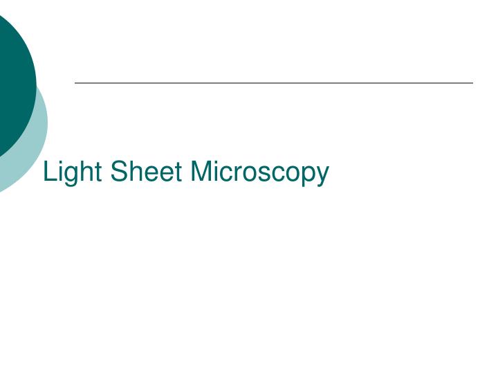 light sheet microscopy