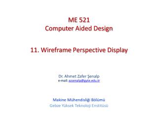 11. Wireframe Perspective Display