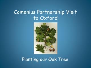 Comenius Partnership Visit to Oxford