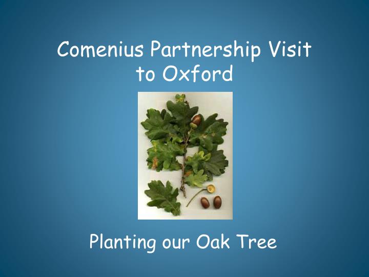 comenius partnership visit to oxford