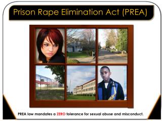 Prison Rape Elimination Act (PREA)