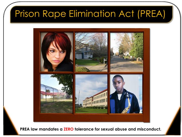 prison rape elimination act prea