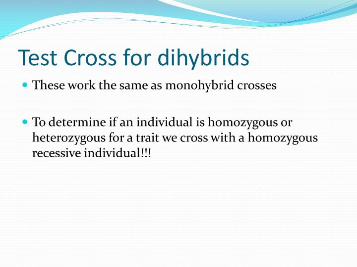 test cross for dihybrids