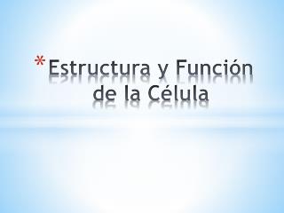estructura y funci n de la c lula