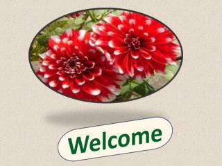 Welcome