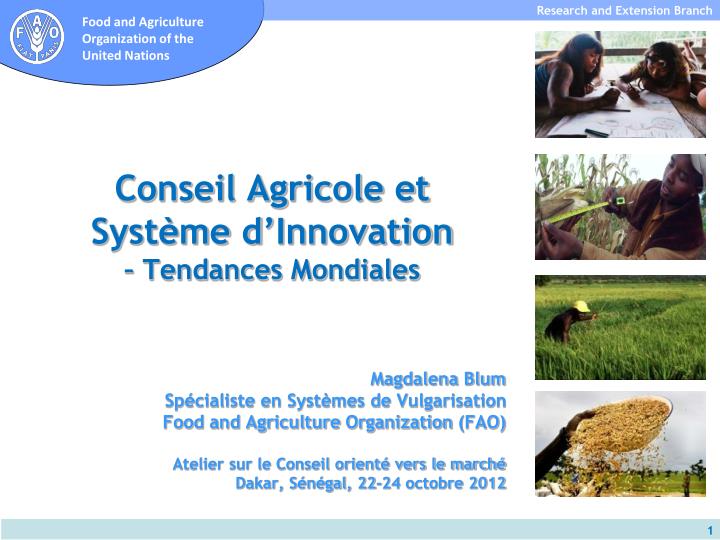 conseil agricole et syst me d innovation tendances mondiales