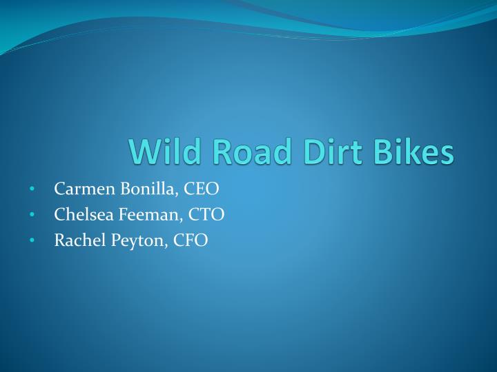 wild road dirt bikes