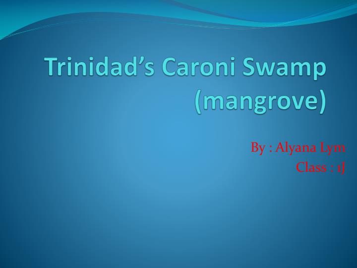 trinidad s caroni swamp mangrove