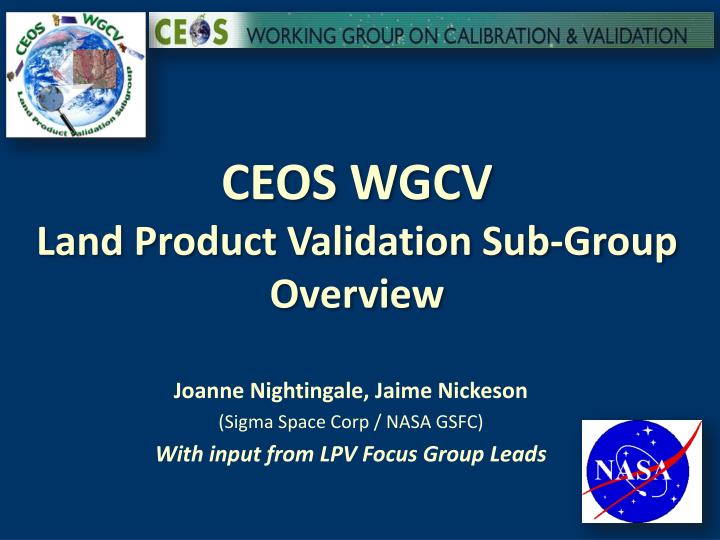 ceos wgcv land product validation sub group overview