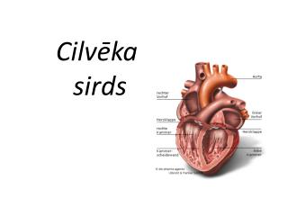cilv ka sirds