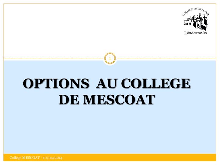 options au college de mescoat