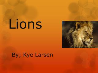 Lions