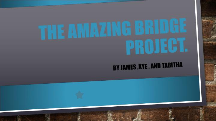 the amazing bridge project