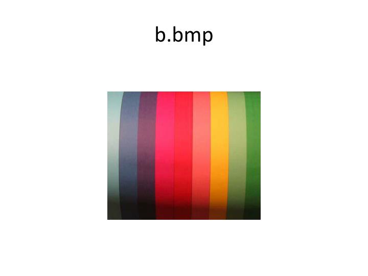 b bmp