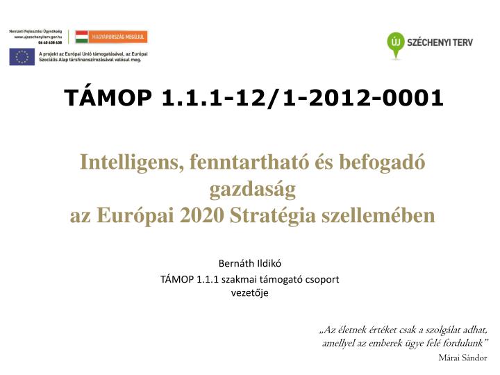 intelligens fenntarthat s befogad gazdas g az eur pai 2020 strat gia szellem ben